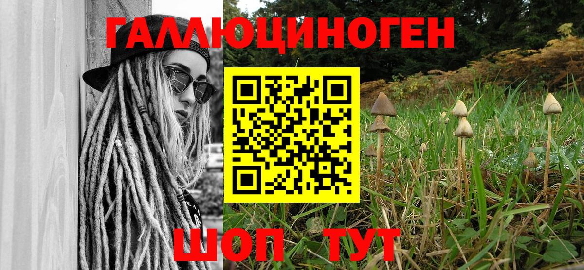 сколько стоит  Вход с VPN  Минеральные Воды  Галлюциногенные грибы Cubensis 