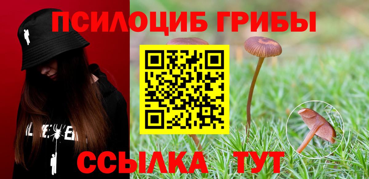 Галлюциногенные грибы MAGIC MUSHROOMS Минеральные Воды